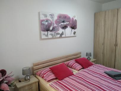 Chopok Juh Apartman Tatiana, Trangoska 迪马诺卡多林纳 外观 照片